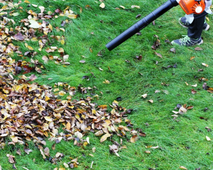 Gas-powered leaf blowers clean the lawn but pollute the air.